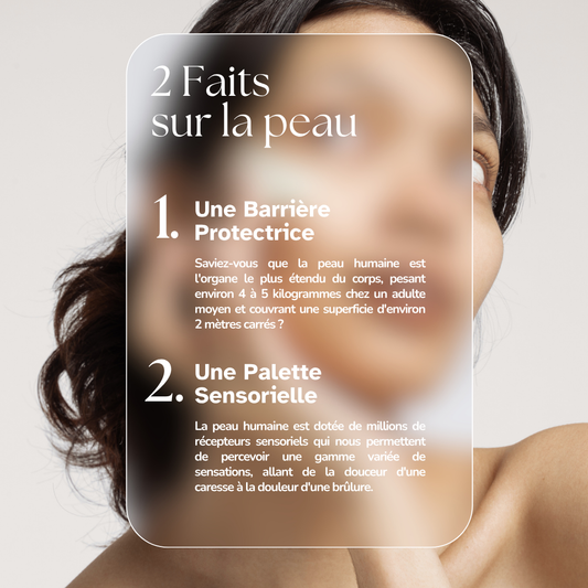 Votre peau et vos cheveux vous diront merci : Les bienfaits d’une eau purifiée